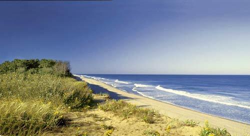 7. Coast Guard Beach, Cape Cod, Mass.