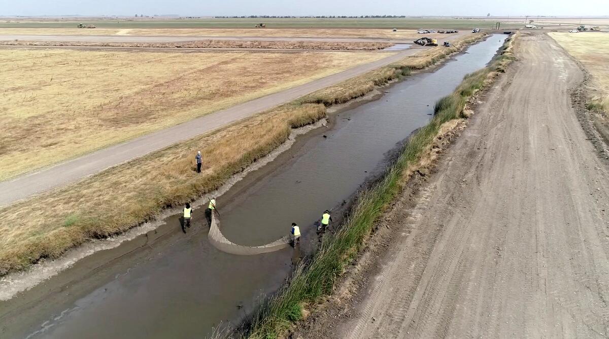 Workers install fish protection netting across a canal as part of the Lower Yolo Ranch Tidal Habitat Restoration Project.