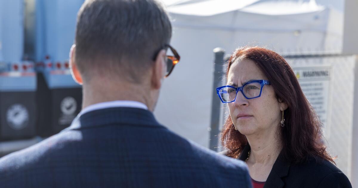 Meet Laura Friedman, the pool-playing assemblywoman who'll likely succeed Adam Schiff - Los Angeles