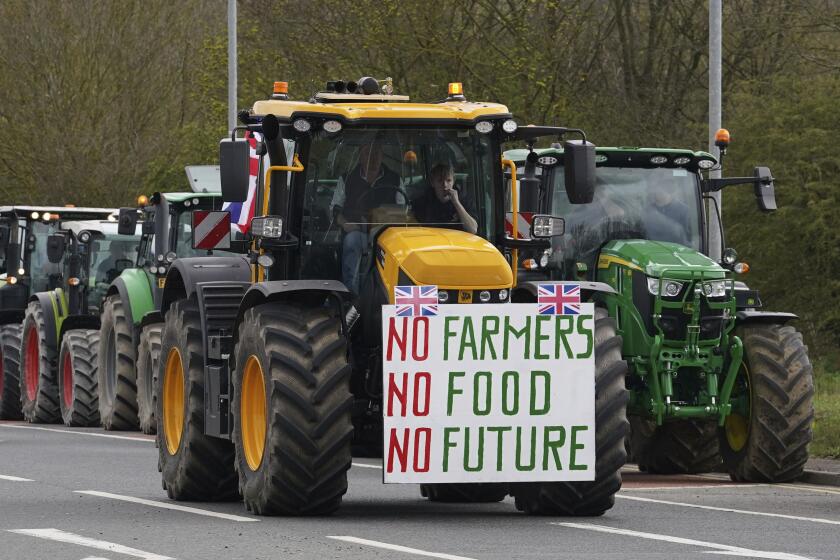 A convoy of farmers in tractors gather on the A20, near Wrotham, in Kent, England, before heading to London to join a protest in Westminster raising awareness of the difficulties for the British farming industry, Monday March 25, 2024. (Gareth Fuller/PA via AP)