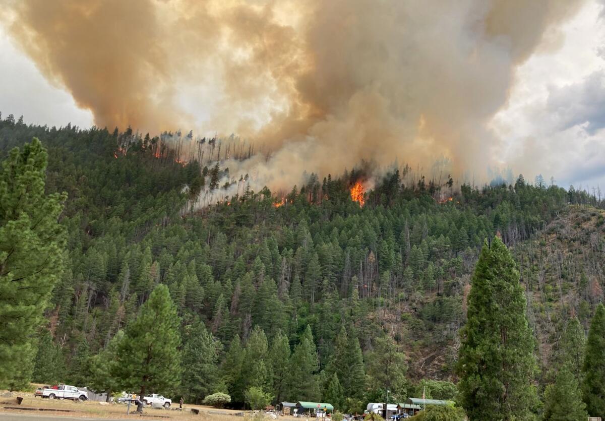 The Head fire burns in Klamath National Forest