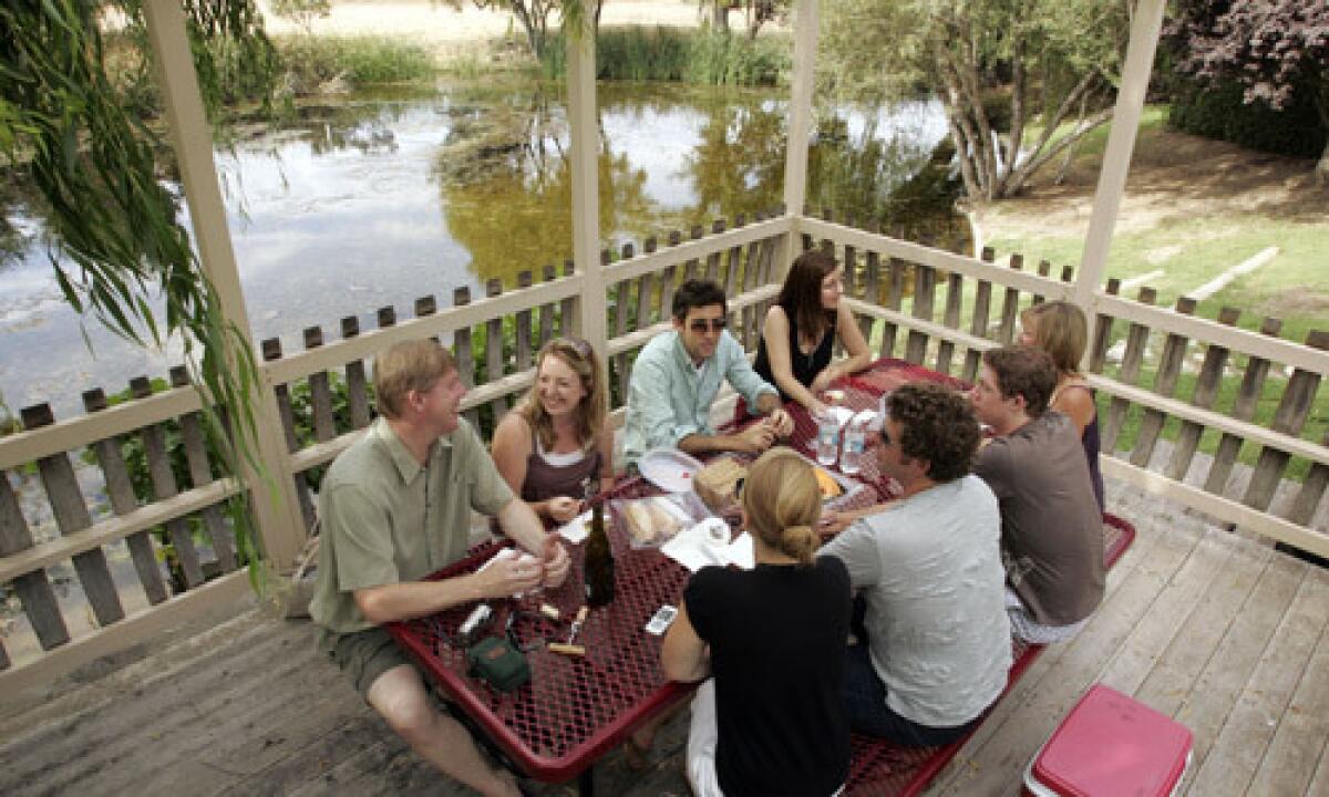 The Preston family of Goleta and their friends picnic under one of the gazebos in Beckmen Vineyards in Los Olivos.