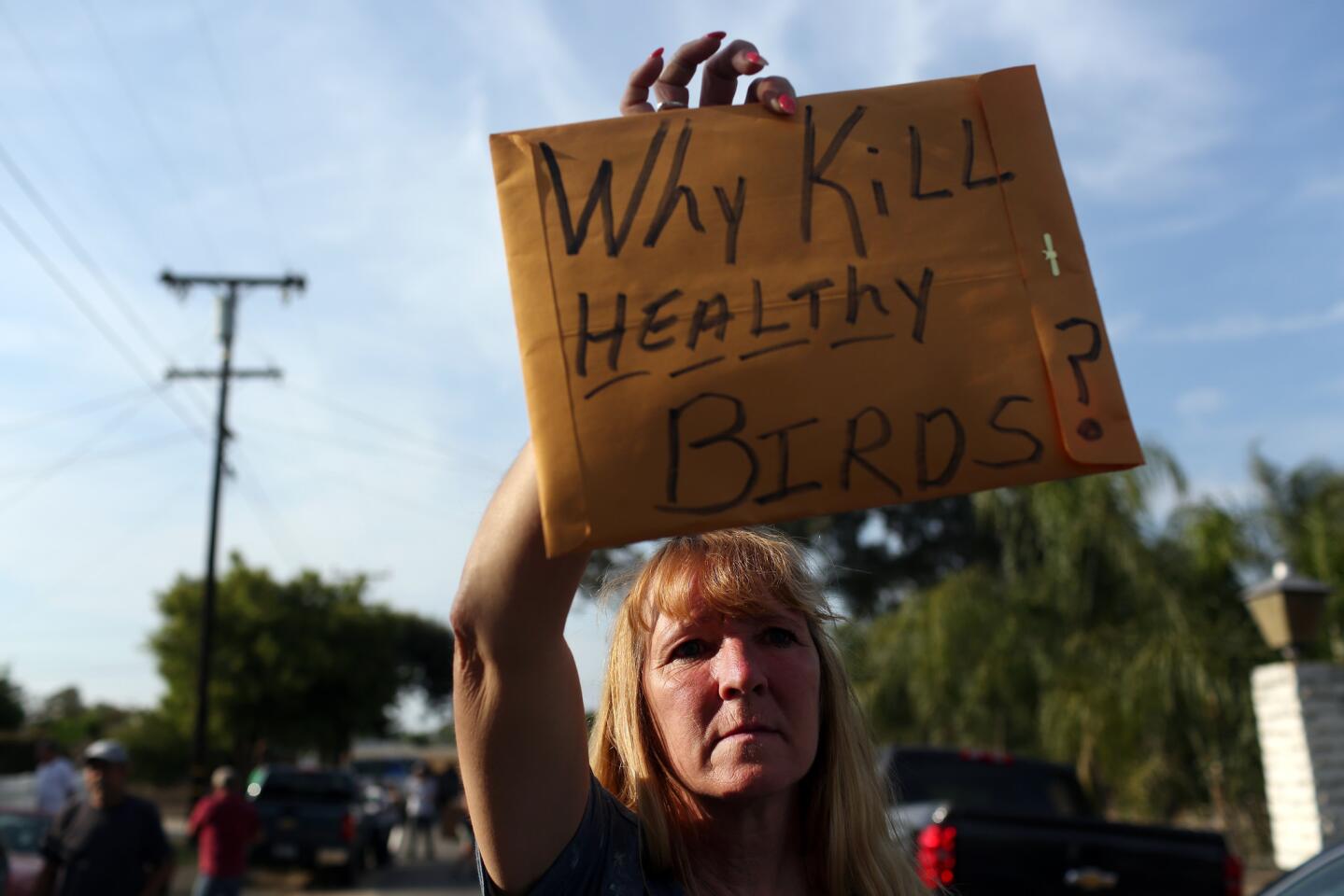 Les Kanawah holds a protest sign outside her Mira Loma, Calif., home on the day her chickens were scheduled to be euthanized.