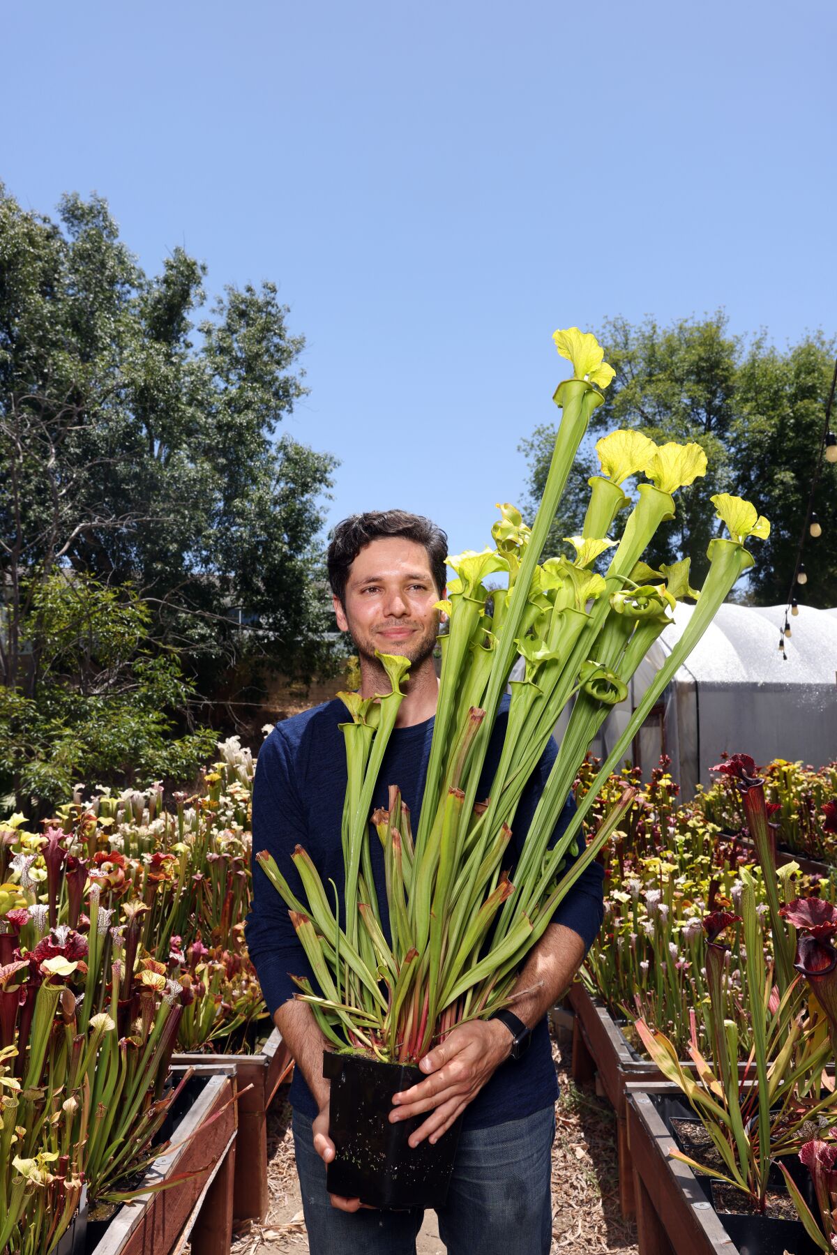 David Fefferman stands for a portrait holding a North American Pitcher Plant at his home nursery.