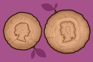 Two cut trees showing tree rings depicting the side profiles of two women's heads as rings in the trees