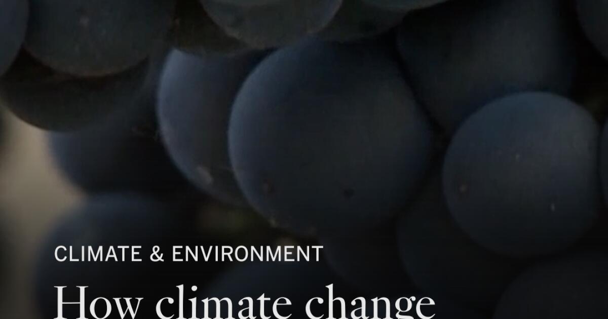 How climate change could redraw California’s wine map