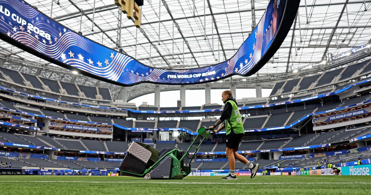 Le gazon de la FIFA dans les stades de la NFL continue de susciter la controverse