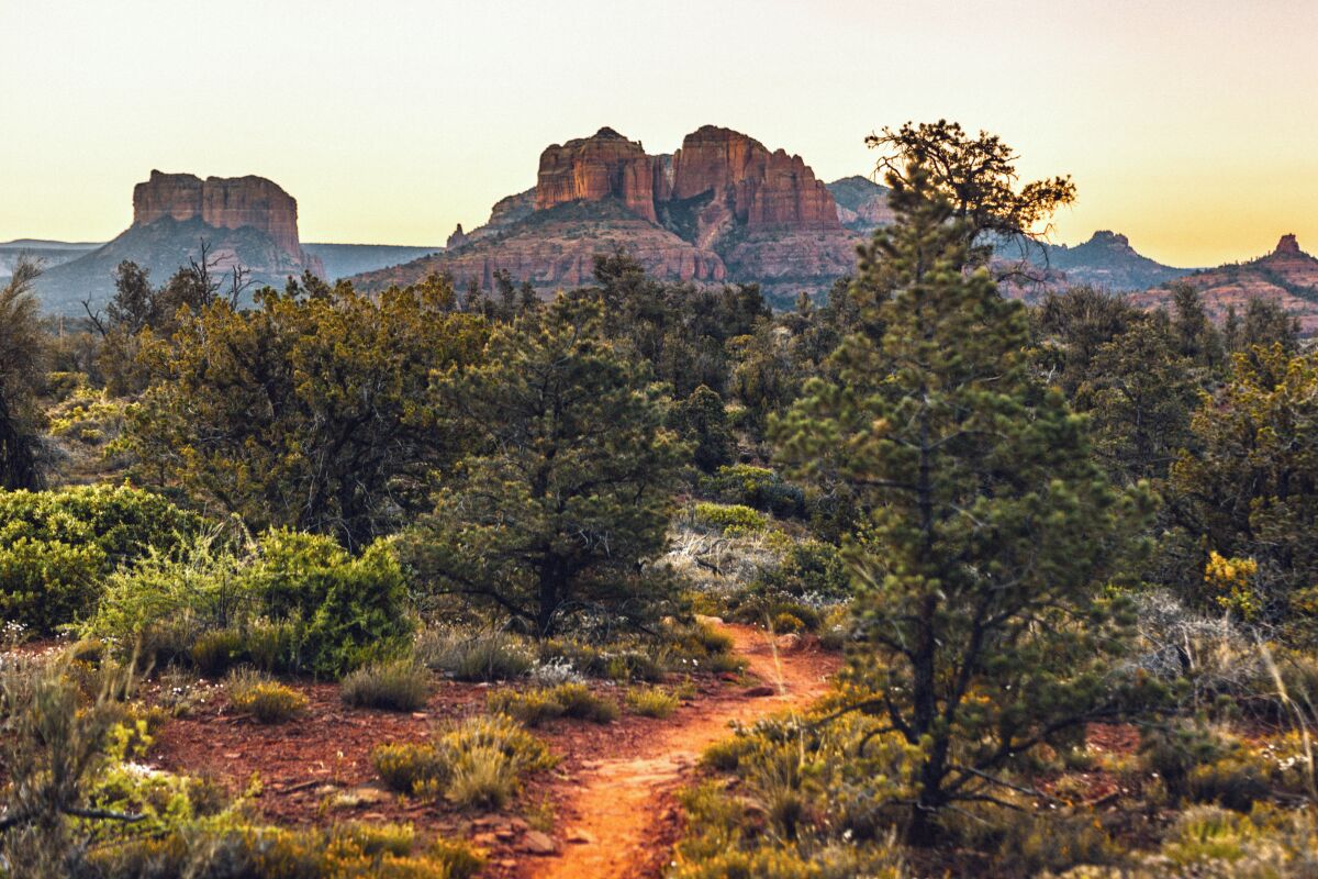 A hiking trail leading to Cathedral Rock at dawn.