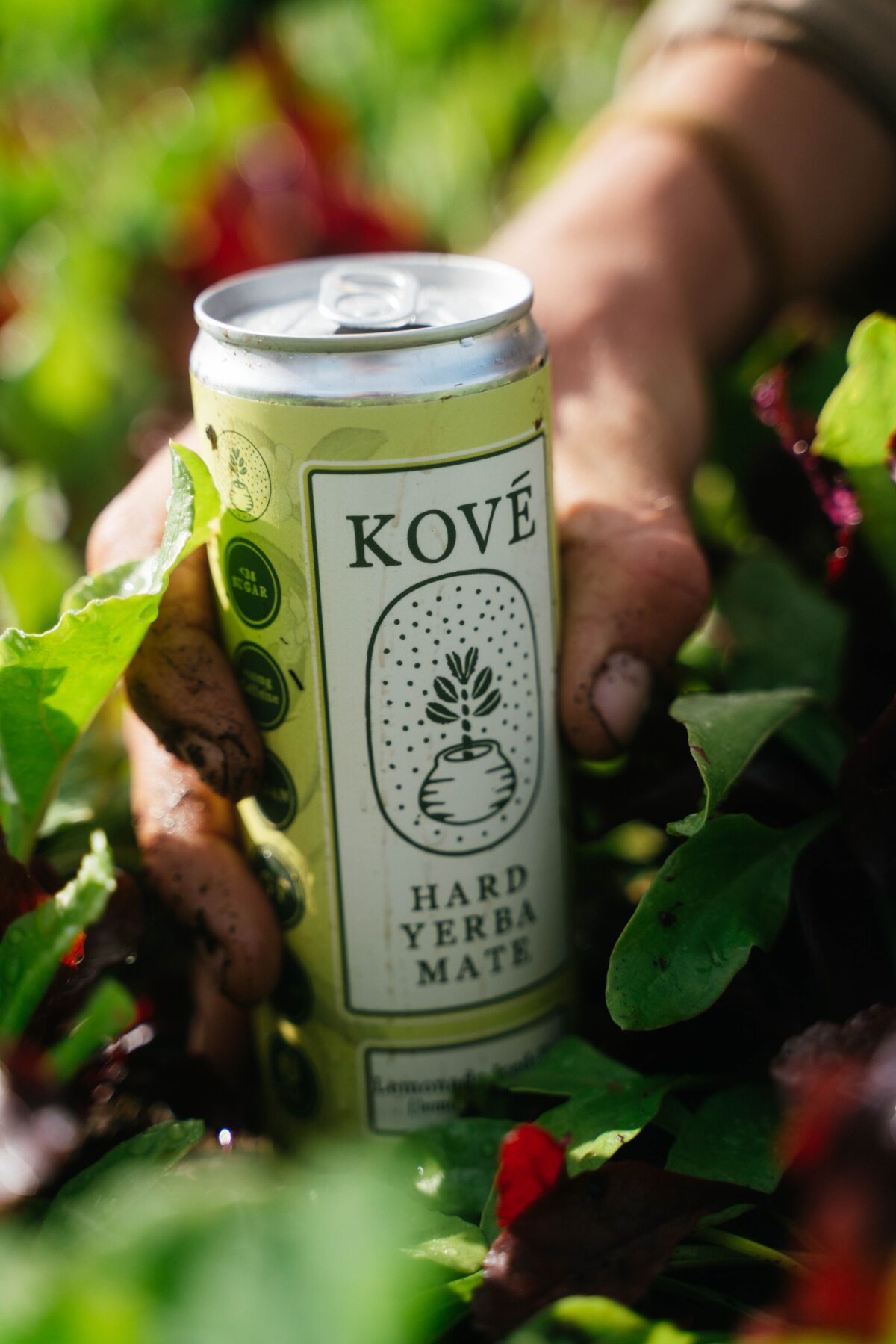 Kové Hard Yerba Mate is brewed and canned in Barrio Logan.
