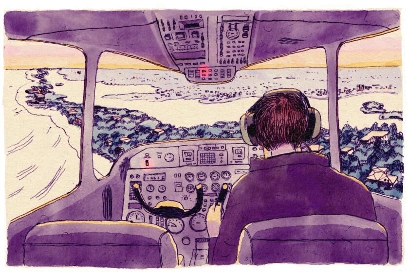 Illustration of passenger sitting in the cockpit of a plane, attempting to land it.