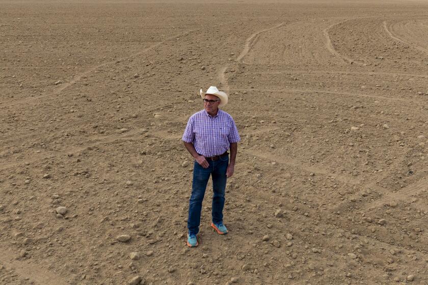 Buttonwillow, CA - November 30: Daniel Rudnick stands for a portrait on land he owns in Buttowillow on Thursday, Nov. 30, 2023 in Buttonwillow, CA. Rudnick recently won approval to build a 255-acre warehousing project along 7th Standard Road. (Brian van der Brug / Los Angeles Times)