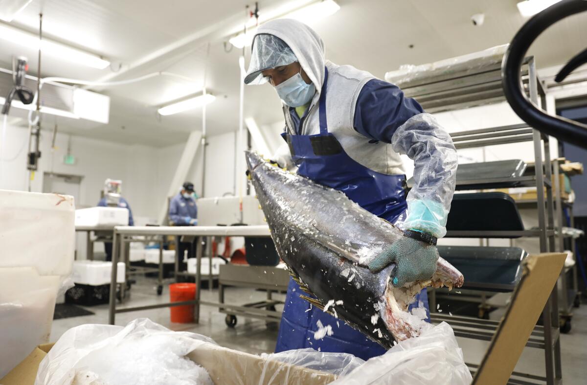 A worker handles a yellow fin tuna at Luxe Seafood in Los Angeles in 2020. 