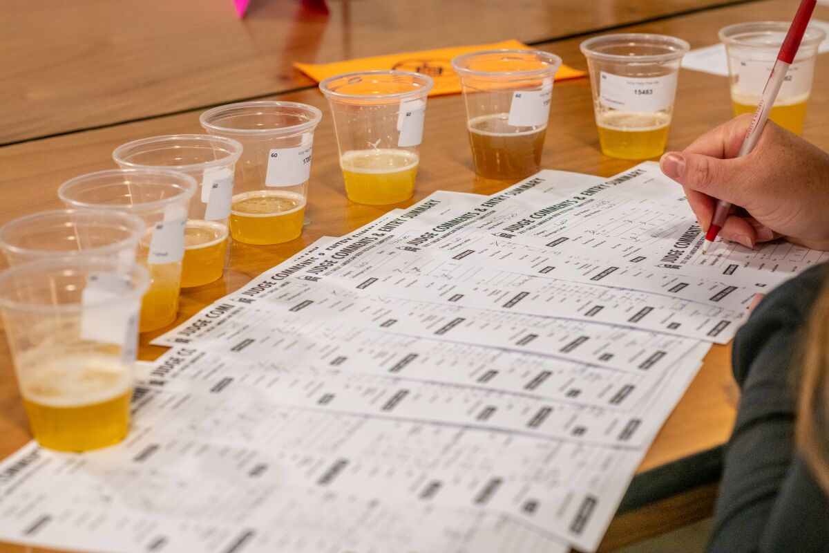 A judge samples brew submissions for the Great American Beer Festival (GABF) 2021