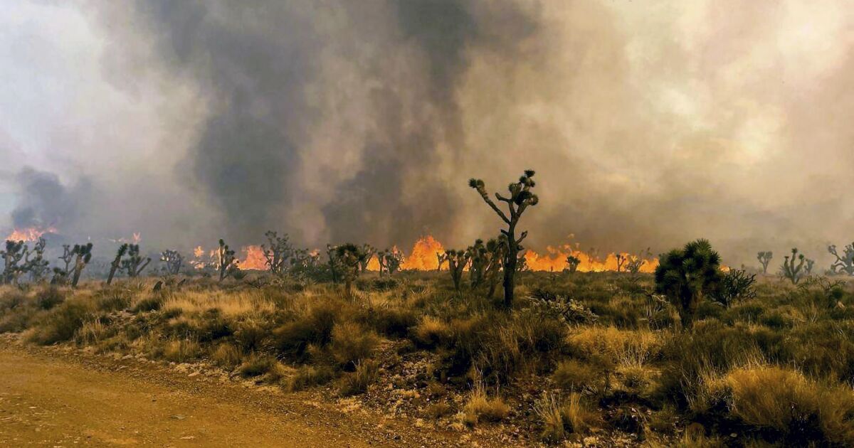 70,000-acre California wildfire crosses into Nevada; 0% contained