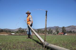 Frank Konyn changes an irrigation line in a field of rye grass on Friday, Nov. 5, 2021 in Encinitas , California.