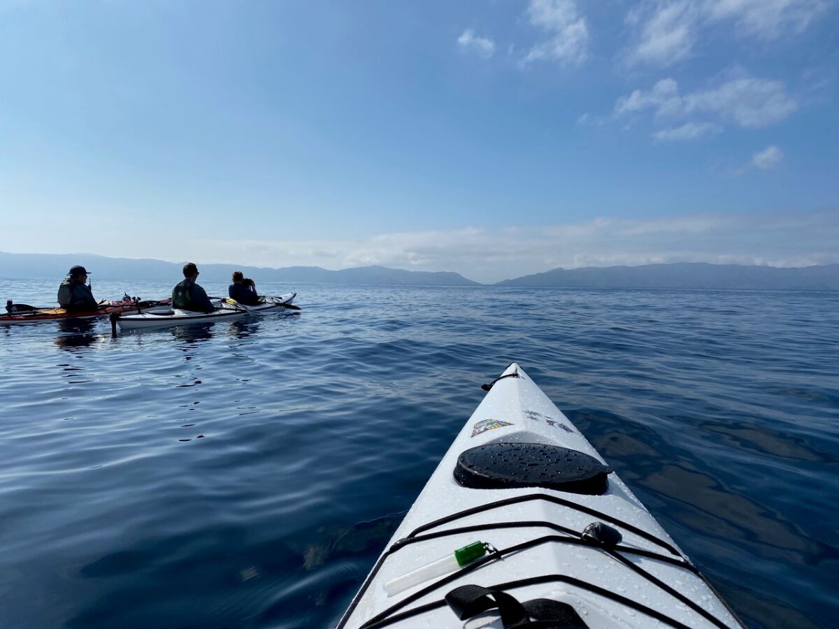 Paddling to Catalina, photographed by Alyce Fernebok