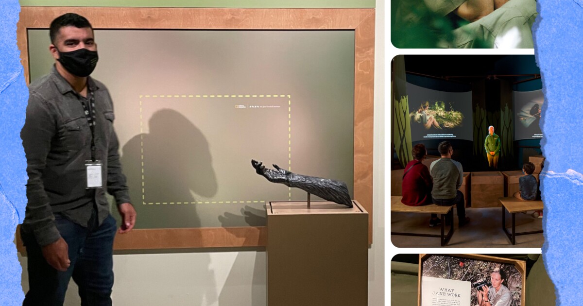 Cómo Jane Goodall inspiró al hombre murciélago en Los Ángeles Cómo Jane Goodall inspiró al hombre murciélago en Los Ángeles