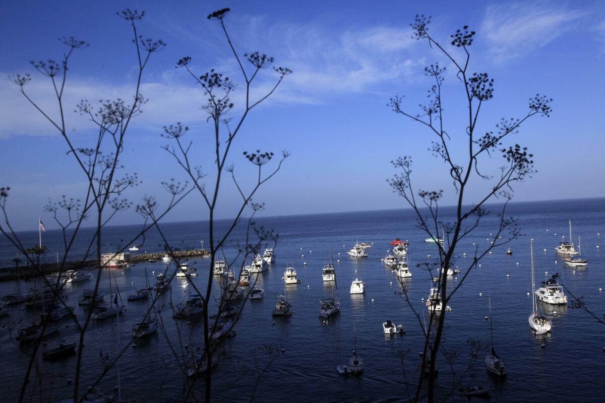 Two people have been killed in boat-related incidents in the last five days off Santa Catalina Island.