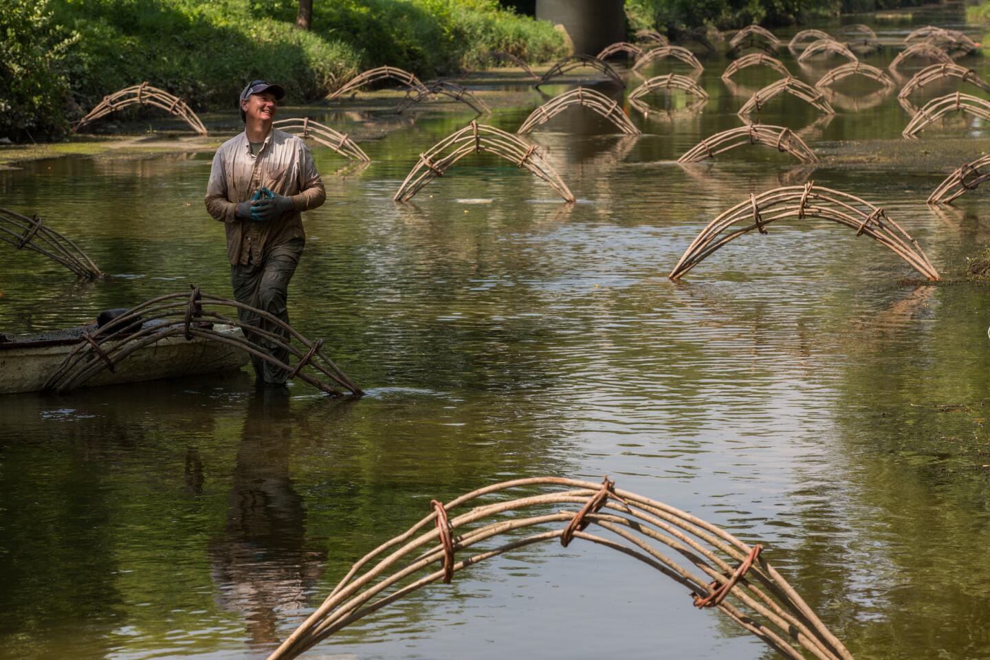 Artist John Siblik stands in the water with pieces of his sculpture.