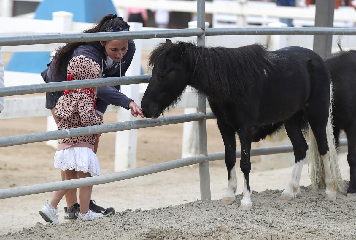 Families tour and pet mini-horses during a debut Wednesday of the Ranch Community Center at the O.C. fairgrounds.
