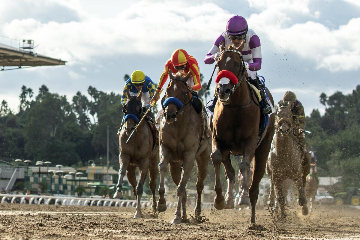 Slow Down Andy, right, runs ahead of the field to win the Awesome Again Stakes at Santa Anita on Saturday.