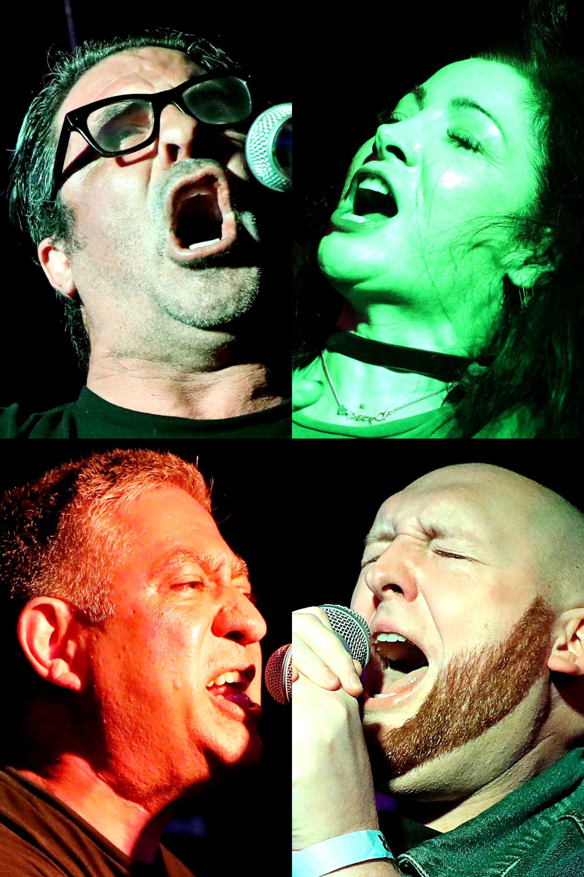 Mug shots of Punk Rock Karaoke singers Adam Barker, Jessica, Rob Simundson and Vince Velasco while singing.