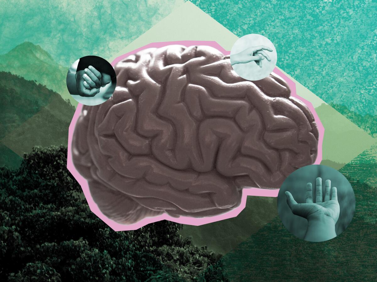 Illustration shows a brain surrounded by helping hands. 