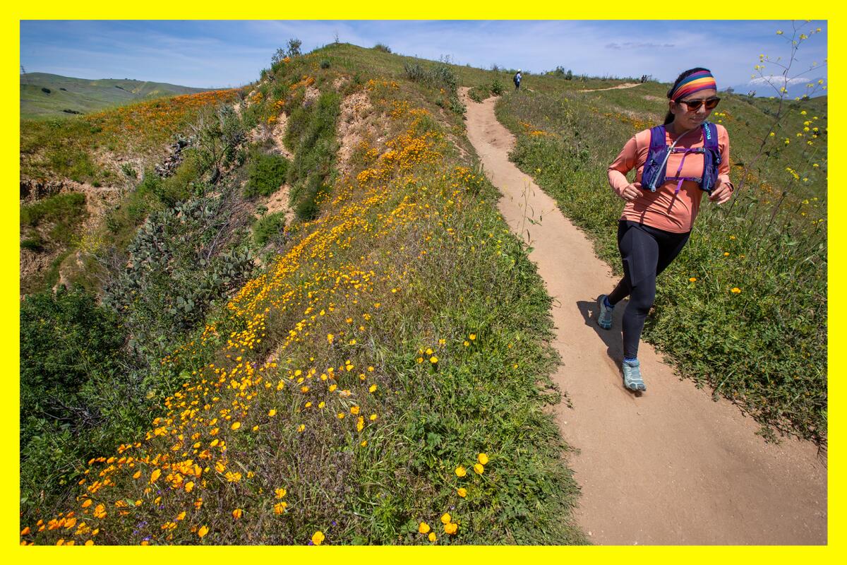 A person jogs past California poppies blooming on a trail at Chino Hills State Park 