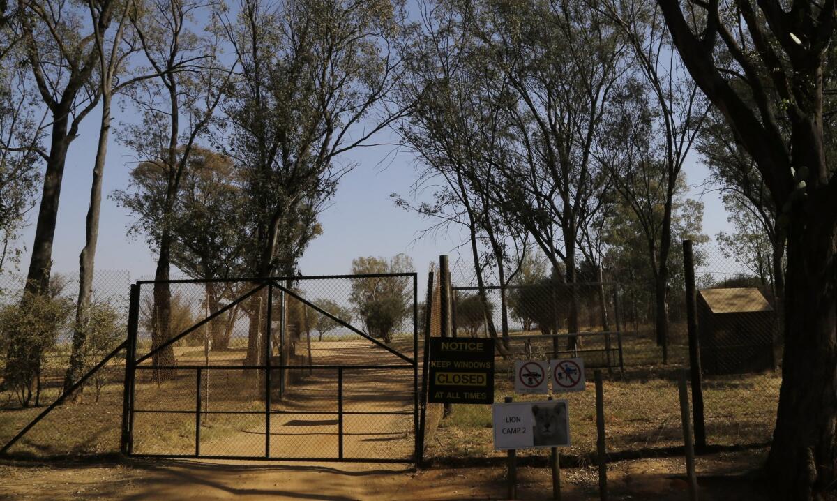 A general view of an enclosure of the Lion Park in Johannesburg, South Africa.