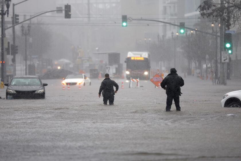 San Diego CA - January 22: San Diego Police officers wade through a flooded Imperial Ave. near Tailgate Park to check on stranded motorists during a flash flood on Monday, January 22, 2024 in San Diego, CA. (K.C. Alfred / The San Diego Union-Tribune)