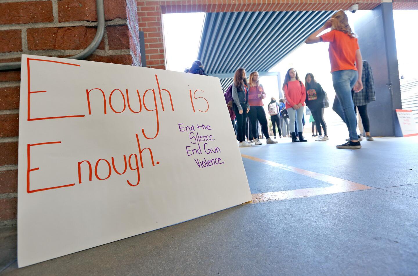 Photo Gallery: Rosemont Middle School “Die-Inevent" for stricter gun laws