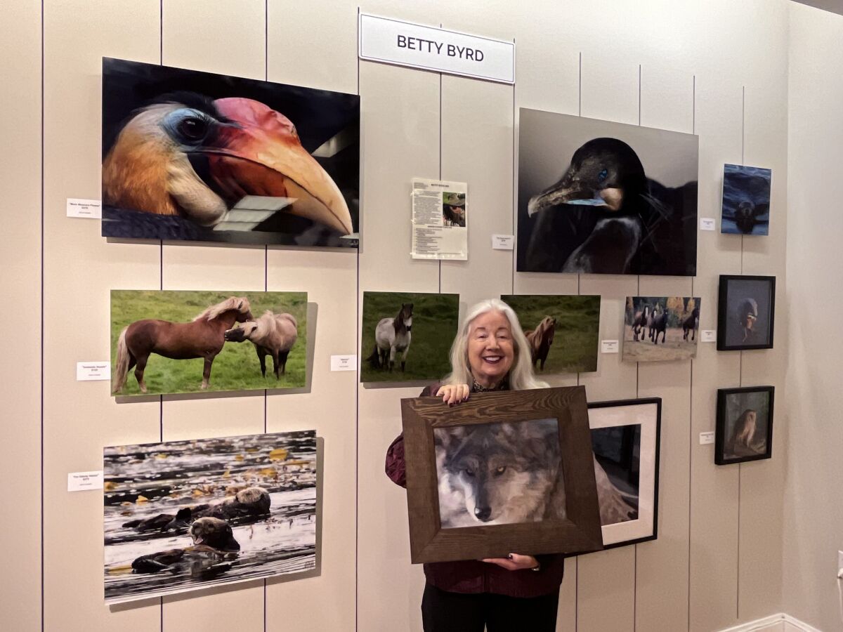 Betty Byrd's photographs are on display at Adore Art Gallery,
