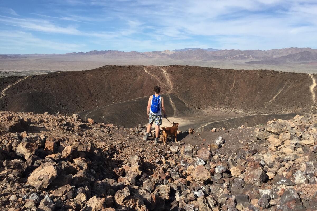 Amboy Crater hike