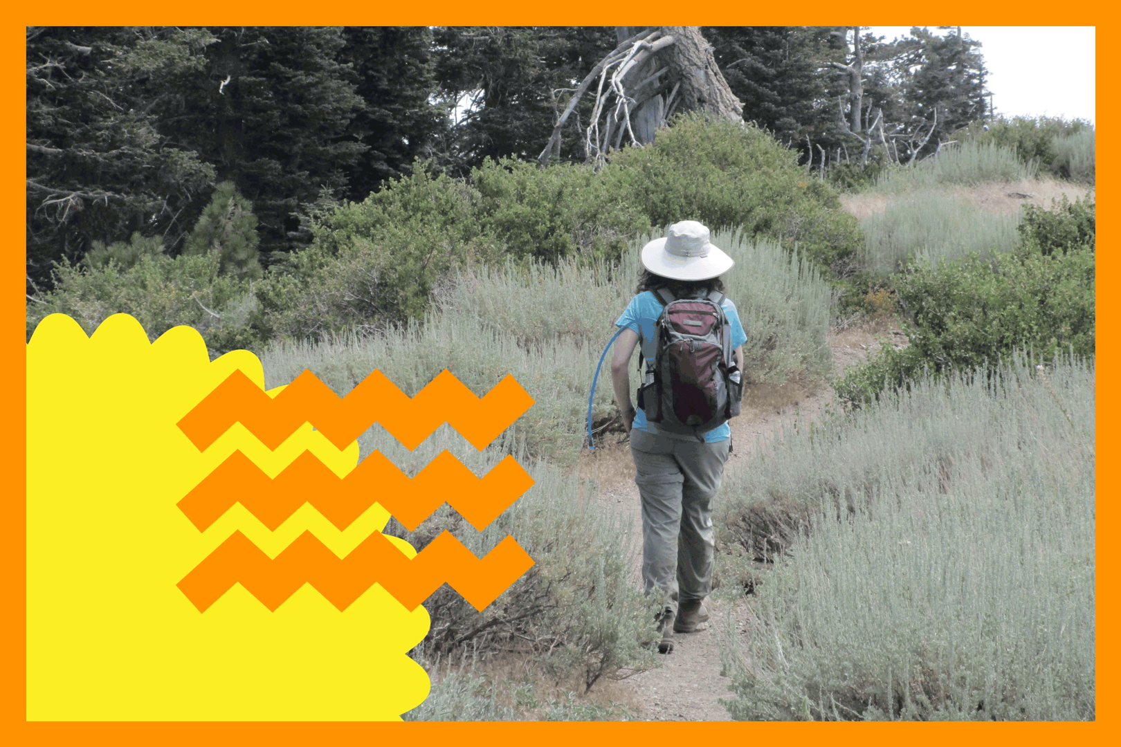 A day hiker on the Pacific Crest Trail near Wrightwood