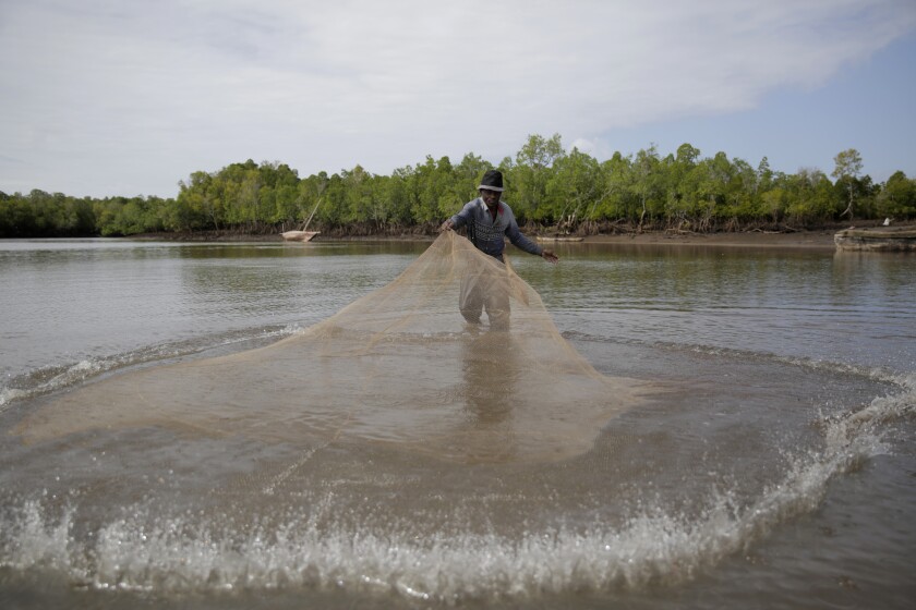 Fisherman Guni Mazeras, 62, casts a net near mangrove trees in Vanga, Kwale County, Kenya on Monday, June 13, 2022. (AP Photo/Brian Inganga)