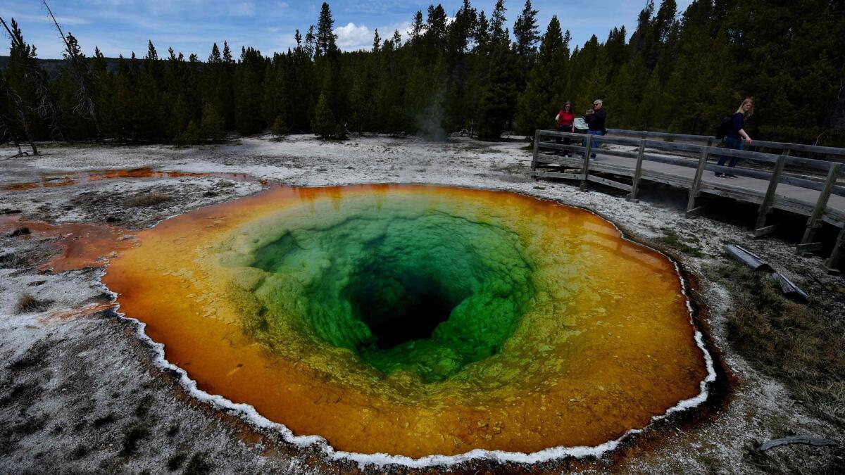 Martin Luther King Day on Monday is a free day to visit national parks. This is the Morning Glory hot spring in the Upper Geyser Basin of Yellowstone National Park in Wyoming.