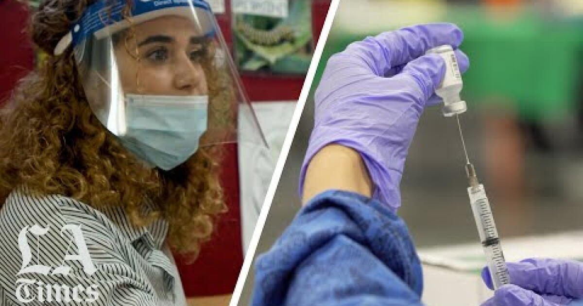 One year with COVID-19: How the pandemic changed our lives - Los ...