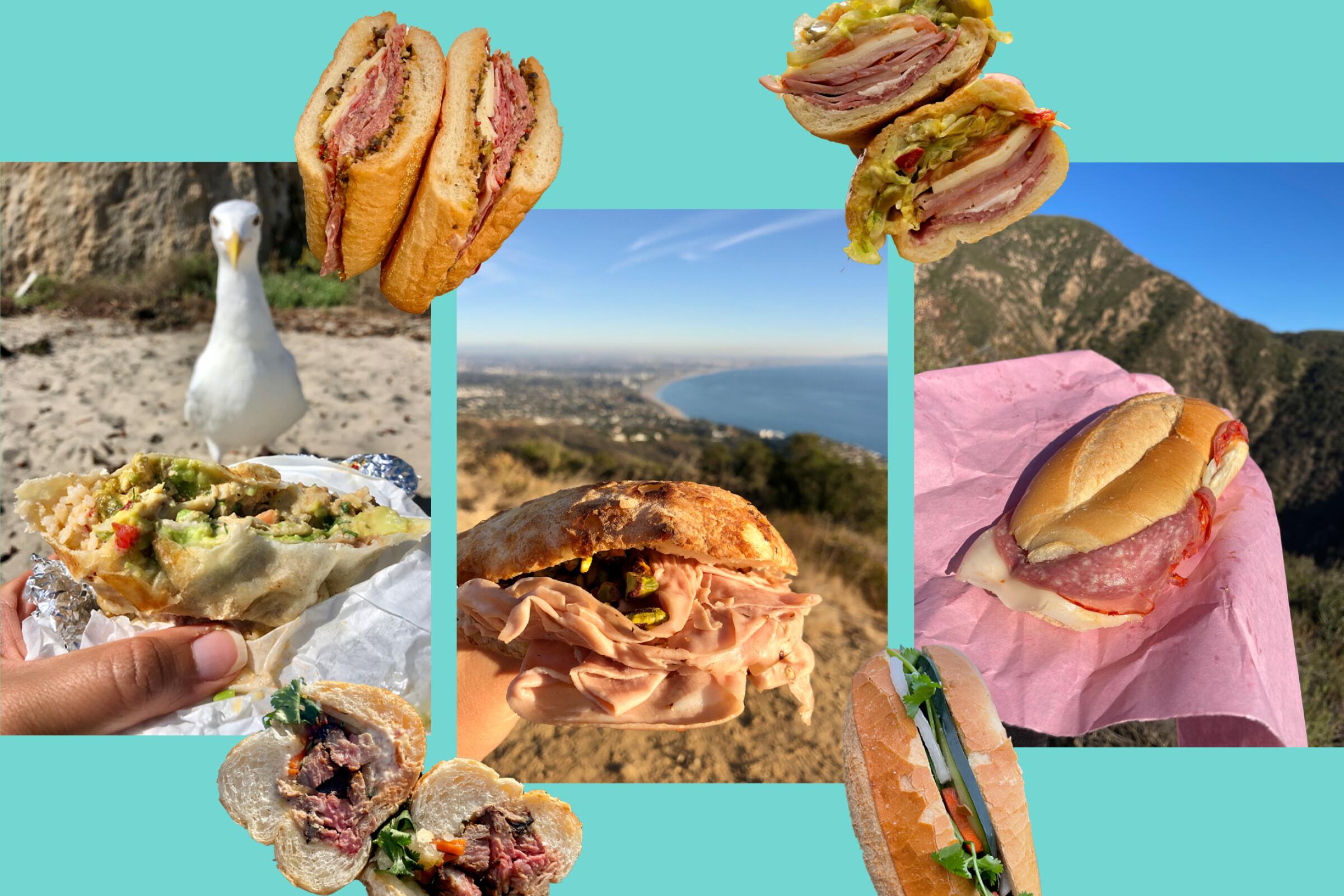 A photo collage of various sandwiches