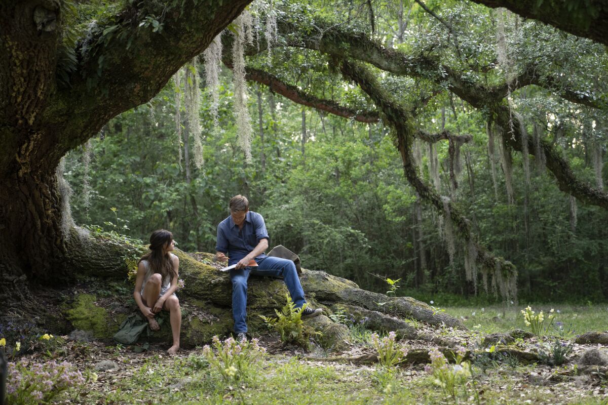 A woman and a man talk while sitting on the exposed roots of a tree