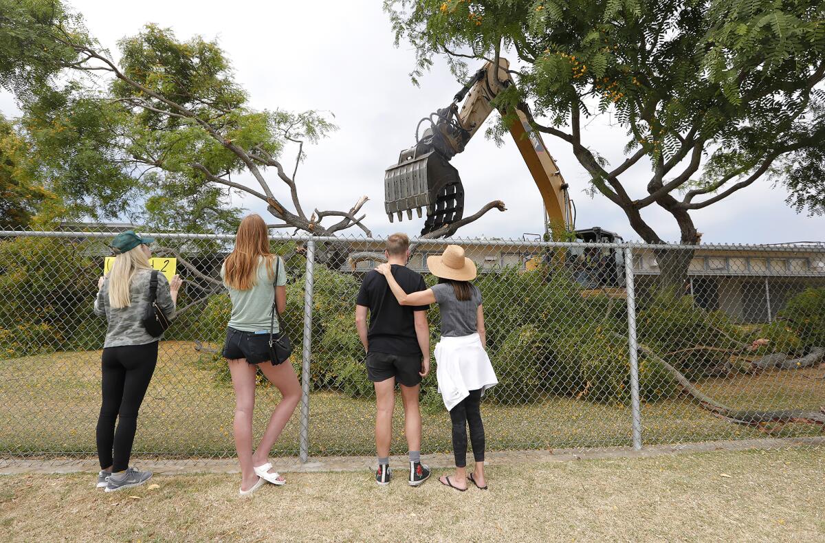 Residents watch as Newport Mesa Unified contractors remove Rosewood trees at Ensign Intermediate School on Monday.