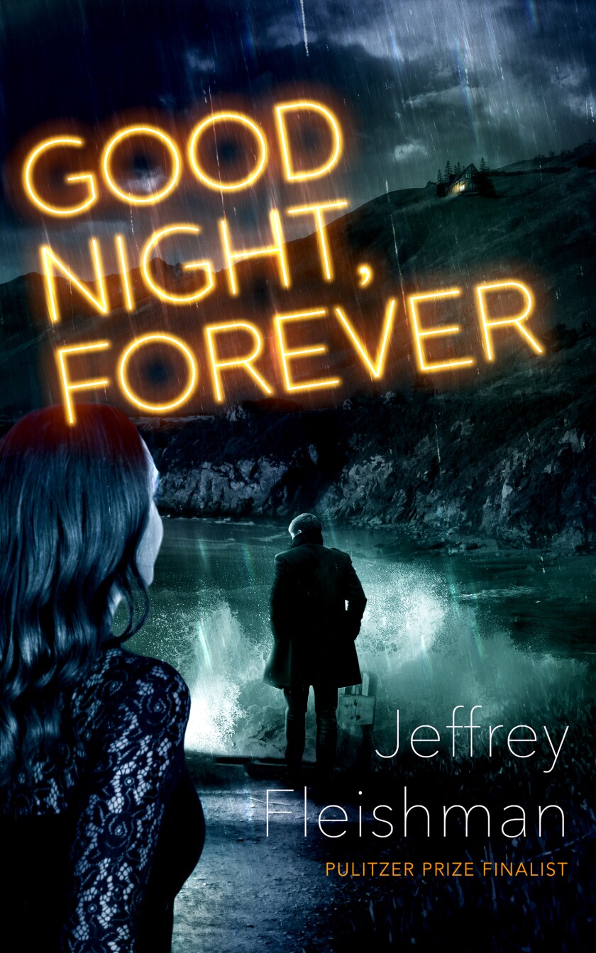 "Good Night, Forever," by Jeffrey Fleishman