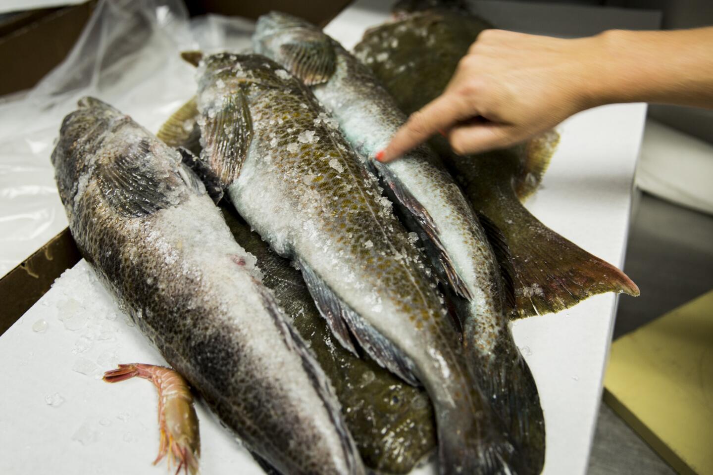 How L.A.'s number one restaurant is using a sustainable seafood