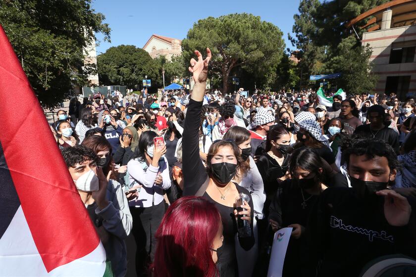 example of a personal opinion essay Los Angeles, CA - Students rally on the UCLA campus in support of Palestinians caught up in the conflict that continued to rage unabated between Palestinians and Israelis in the Middle East on Thursday, Oct. 12, 2023. The two peoples have been in a constant state of war for 75 years. (Luis Sinco / Los Angeles Times)
