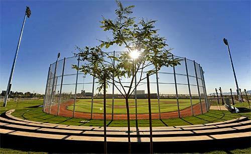 Dodgers spring training in Glendale, Ariz.