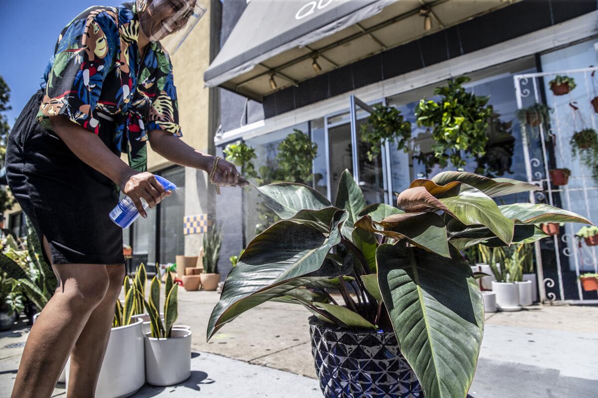 Amorette Brooms rocía con agua las plantas de interior en la acera frente a Queen.