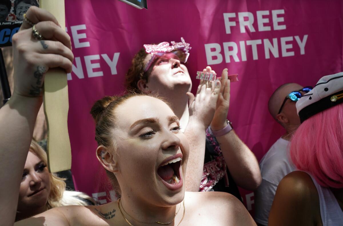 A protester holds a Free Britney banner