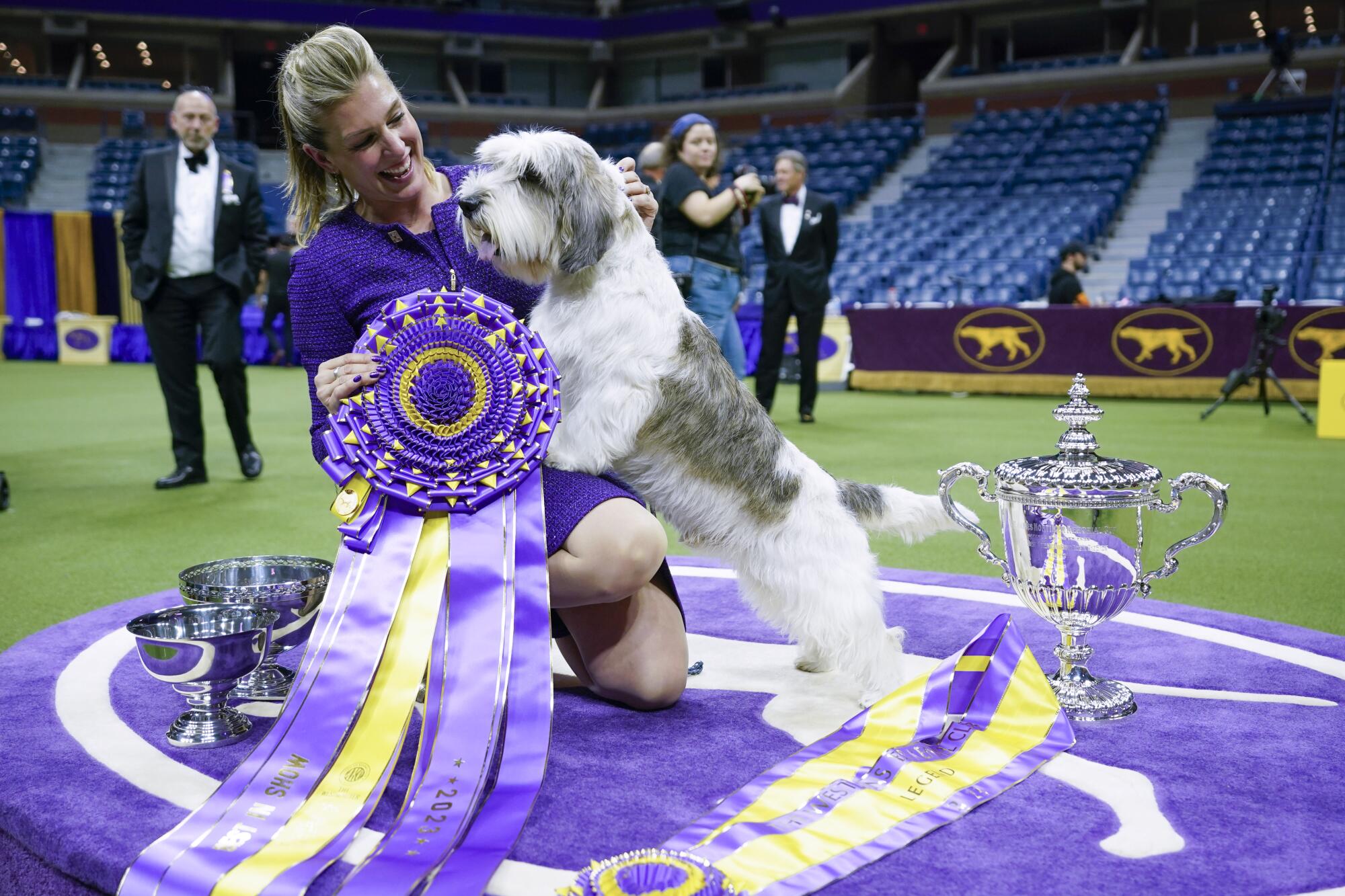 Handler Janice Hays poses for photos with Buddy Holly, a petit basset griffon Vendéen, after he won best in show