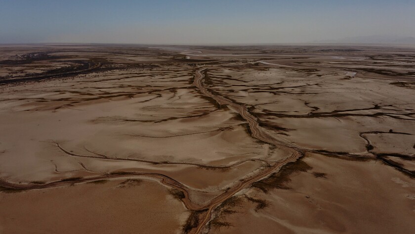 Meksika'nın kuru Colorado Nehri Deltası'nda su tekrar akıyor