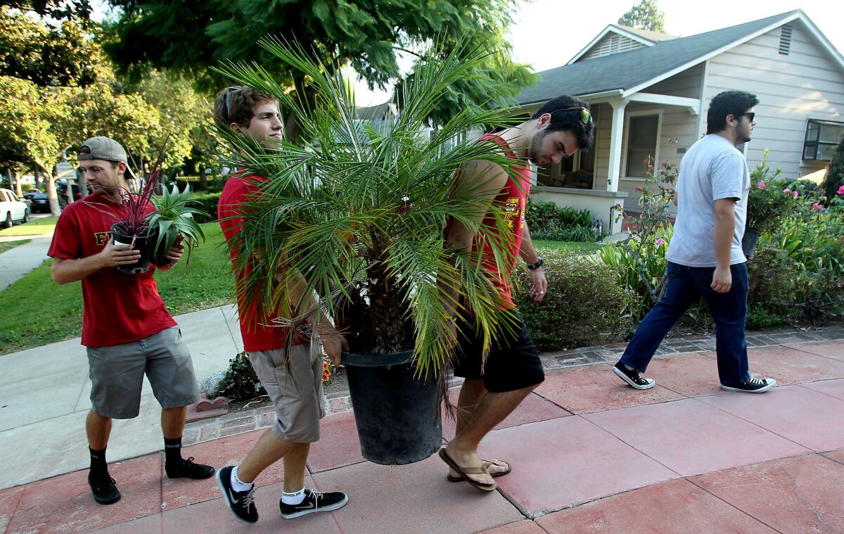 A group of fraternity members from USC walks along Almansor Street in Alhambra to hand out flowers and yard ornaments to residents on Thursday.