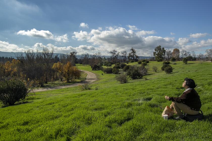 LAKE BALBOA, CA-DECEMBER 28, 2022: Jamie Flores, 19, finds a nice place to sit and have lunch during a visit to Lake Balboa Park in Lake Balboa. (Mel Melcon / Los Angeles Times)